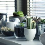 growbox