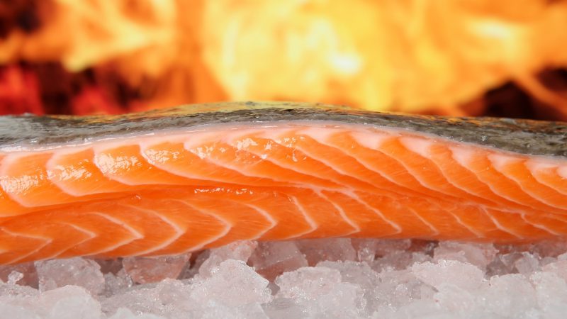 omega 3