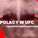 Polacy w UFC
