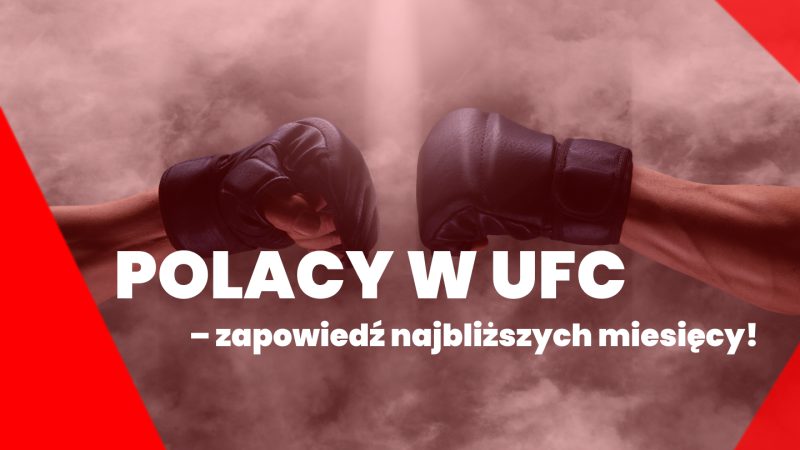 Polacy w UFC